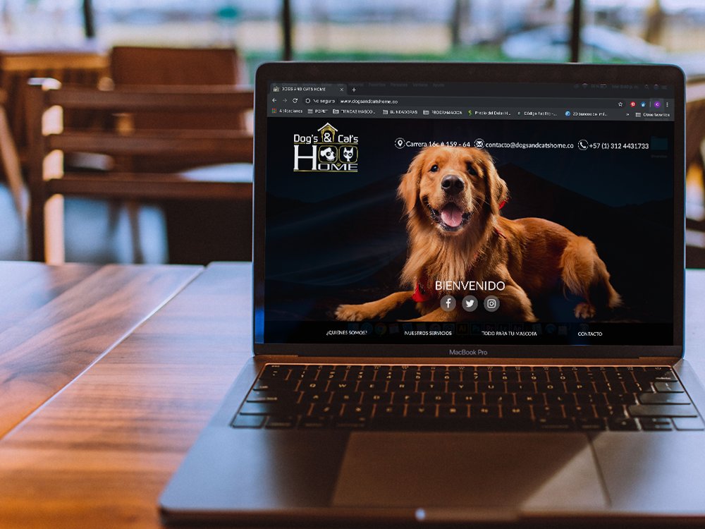 dogsandcatshome.com.co